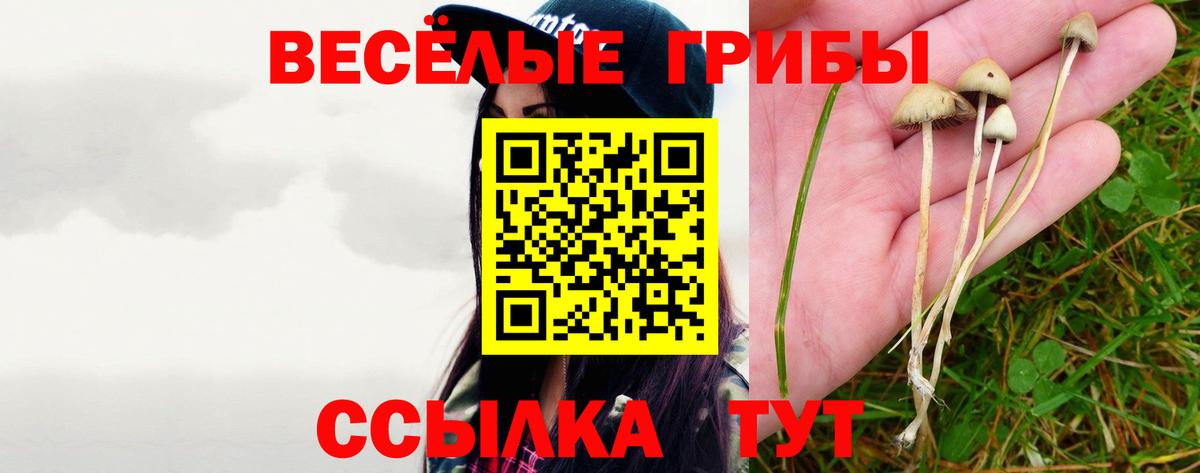 Галлюциногенные грибы Psilocybine cubensis Верхняя Салда